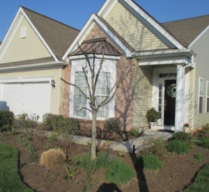 FornalTreeDead2Before