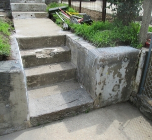 FrankelStepsSmallBefore