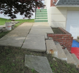 FrankelWalkwayBefore