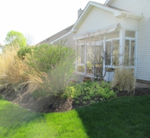 MooreBackCenterBefore