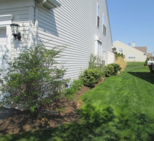 MooreFrontRightBefore