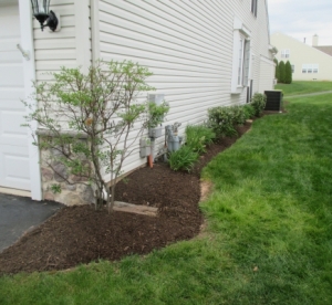 MooreRightFrontAfter