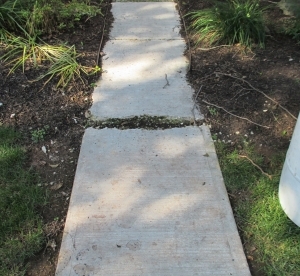 PortzlineWalkwayBefore