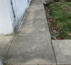 RothenbergerRightWalkBefore