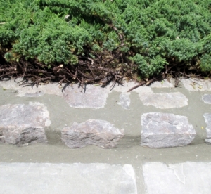 joneswallrestoreafter_0