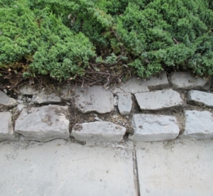 joneswallrestorebefore_0