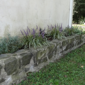 gardenwall