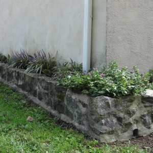 gardenwall2
