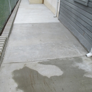 PavlidesSideView1After